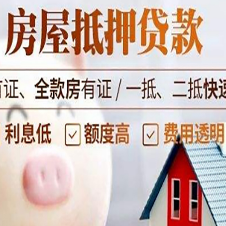 巍山贷款助贷公司新渝启服成立时间久